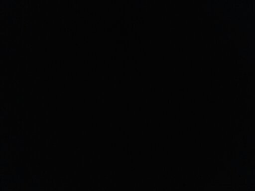 phoenix_wells's profile picture. feeding/trickshoter