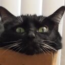 Alex Charbonneau - @RlndDschn - Twitter