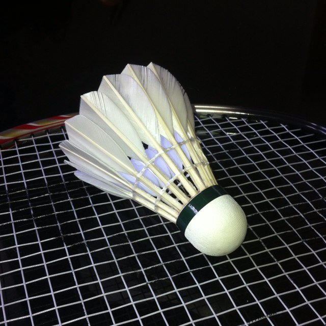 Dorchester Badminton Club Friday Night 8-10 at St Osmunds in Dorchester....Feathers :-)