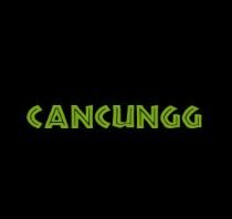 cancungg's profile picture. Red social informando de los mejores eventos en cancun.