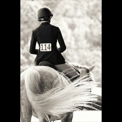 daily pains of being a tall equestrian.