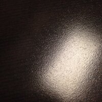 Bitch (@squirrelsnnuts) 's Twitter Profile