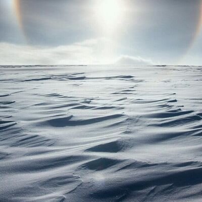 lytsmoll's profile picture. 