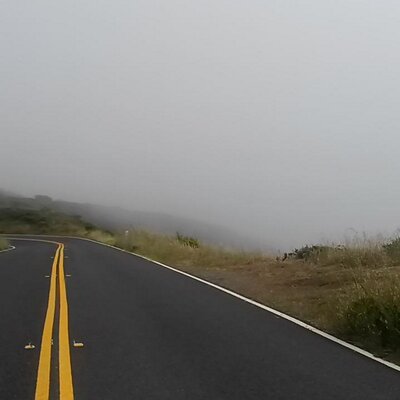 Profile Picture of Winter Howard (@peacfulwinter) on Twitter