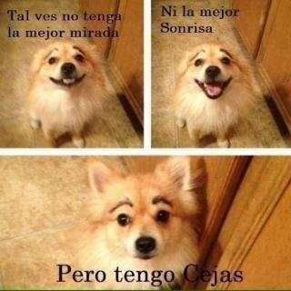 Ustedes nos diran de que hablaremos