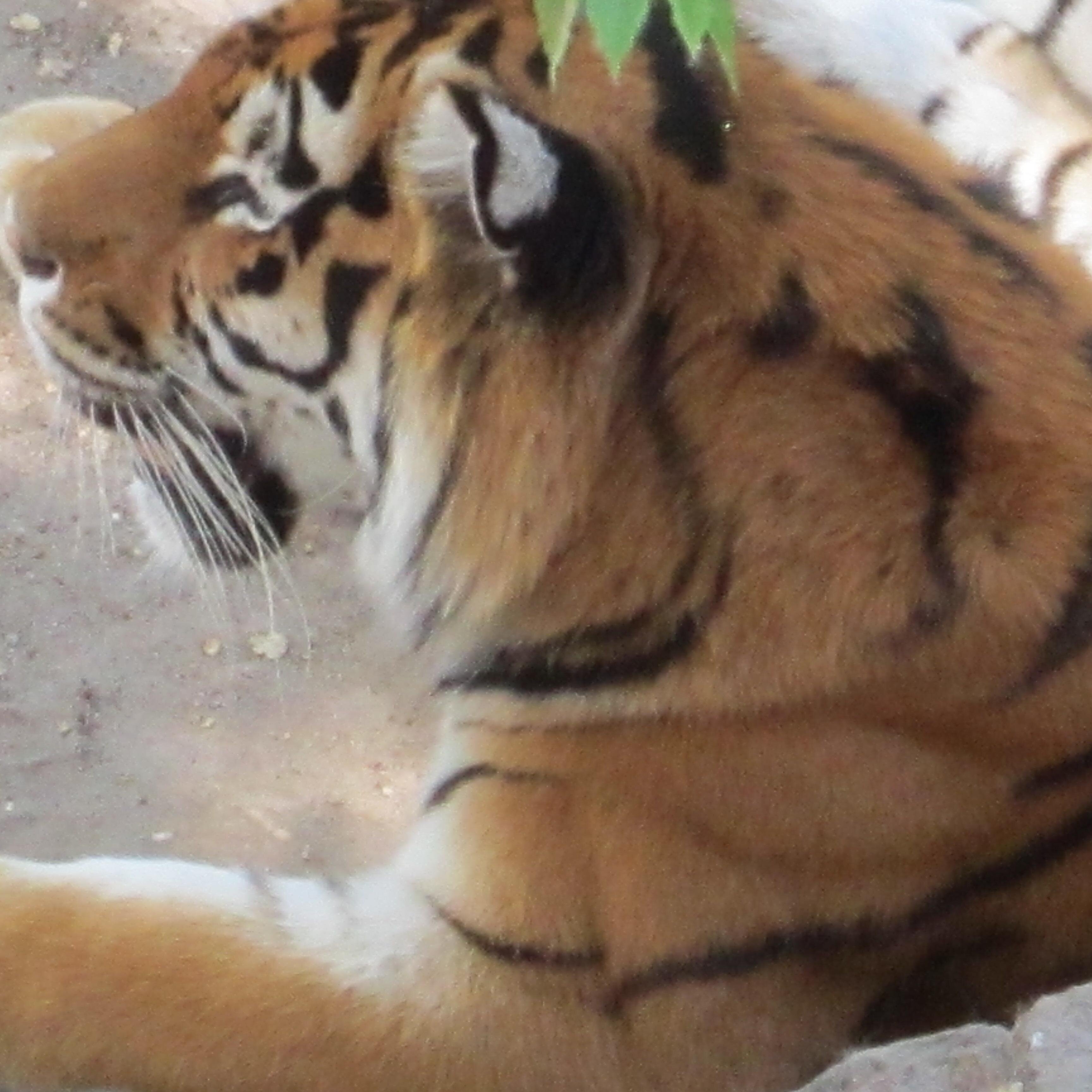 Eckajesse's profile picture. 