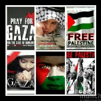 sumayaalli's profile picture. 