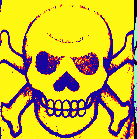 PirataCoque's profile picture. Pirata al abordaje. Lo mas rock and roll de por aqui.