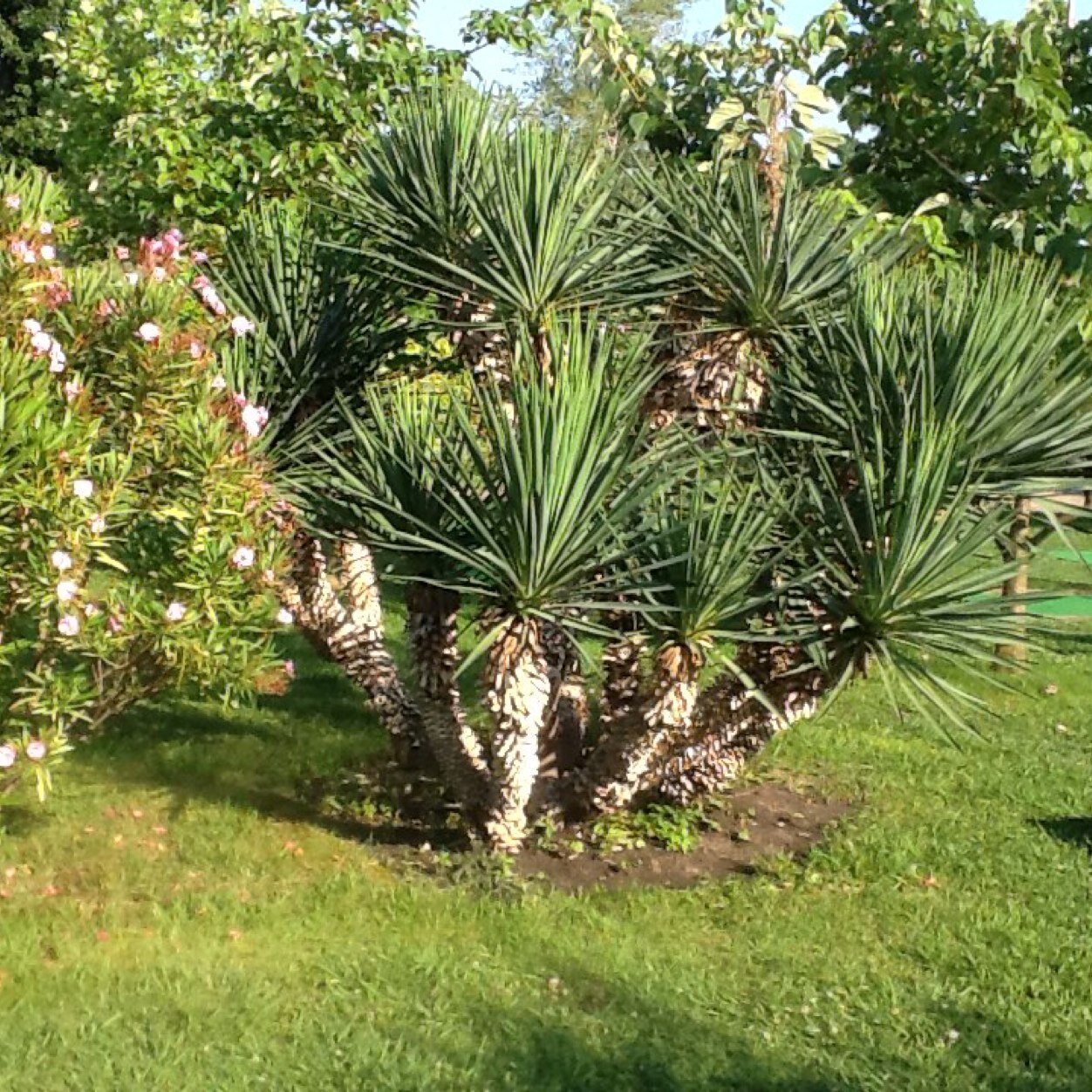 vasilisaa1's profile picture. Живите сейчас, наслаждаясь каждой секундой, любите жизнь от всей души и она ответит вам тем же!