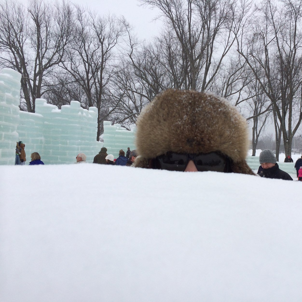 KKattrap's profile picture. 