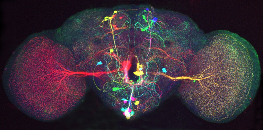 A group for those interested in neuroscience and its intersection with policy, ethics, law, media, society, and more.