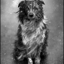 madison Marr - @Kelly38986750 - Twitter