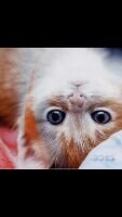 ‏استغفره الله واتوب آليه ♡
