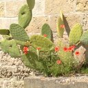 maria strano - @meri_pai - Twitter