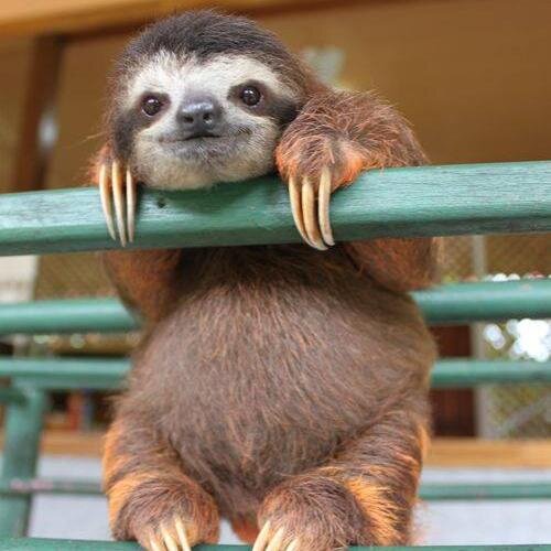 Kajdman's profile picture. IT professional and investor, primarily in growth stocks. Focus on tech and energy.