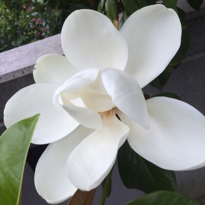 RCVCR's profile picture. 