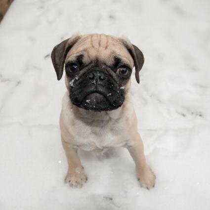 ahsank99's profile picture. Travel, Food, Politics, NFL, Cycling, Soccer & Geek Stuff With a Little Bit of Snark. Virginia & Colorado