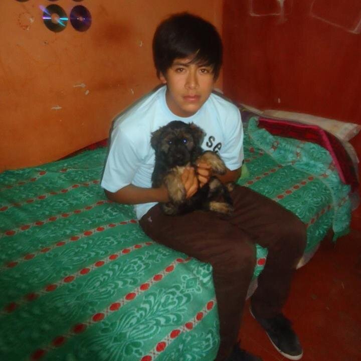 Amigable