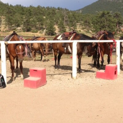 Here are some cowboy/girl quotes and brautiful horse pictures . ❤️