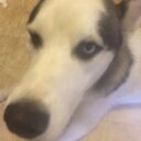 Daniel Grooms - @DanielGrooms22 - Twitter