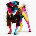 Dylan Wagner - @ghostenthusias - Twitter