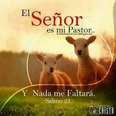 Only Jesus saves, solo Jesús salva ,Amaizing grace  ♔Only His Grace♡love and sweet mercy