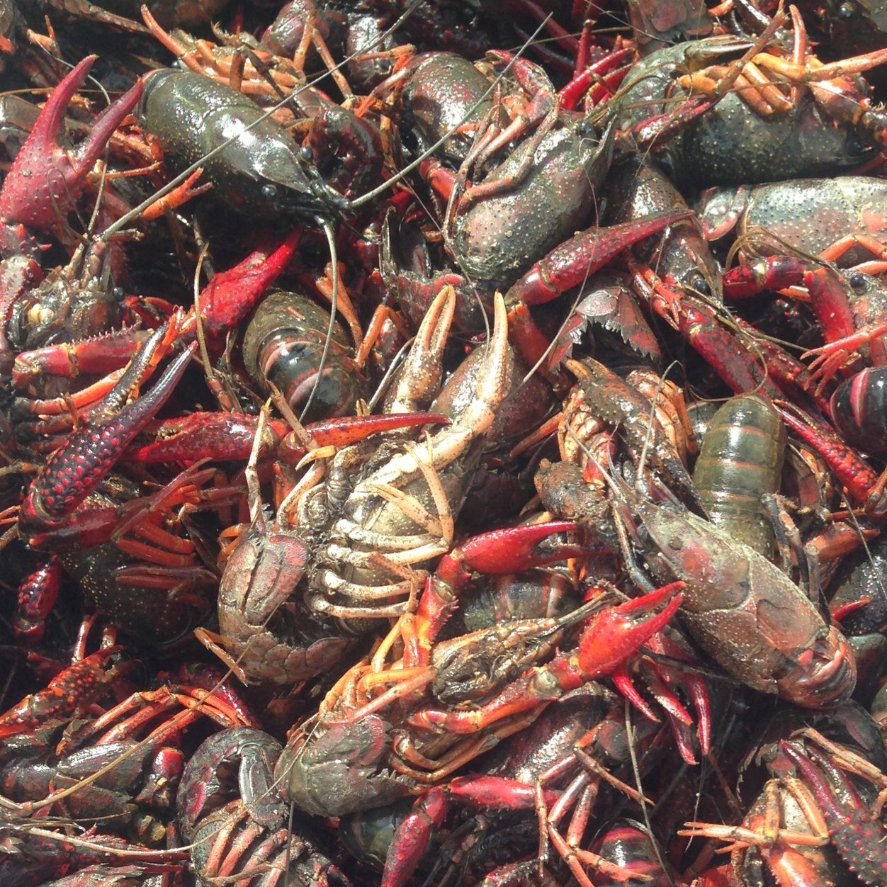 ErichMBrown's profile picture. 