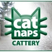 Catnaps Cattery | The Purrfect Retreat for your Cats | Home from Home Boarding Service In Worcester | 01905 345381