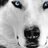 AFeuster's profile image