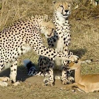 dumm4uk's profile picture. 