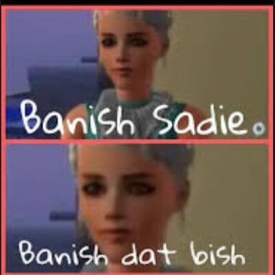 I tweet random pointless stuff!!