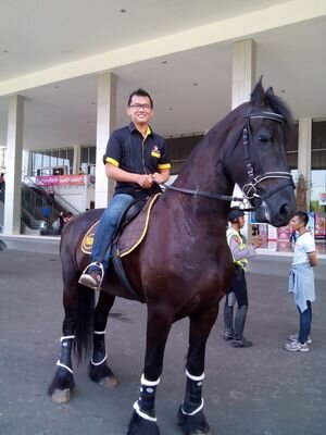 Profesional di bidang Pet & Vet, trainer & coach bisnis