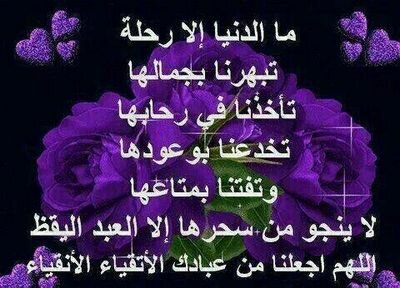 56aba__999's profile picture. ‏‏حسبي الله ع كل متلاعب والا يجيني الا الجادين .. يوجد مسيار ومعلن لي اتعابي وبعربوون 500 والاتعاب 4000