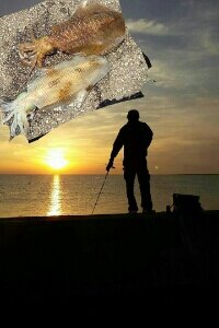敦賀、越前（たまに三重)でエギング、アジング、メバリングしてます。小物釣り好きですw。魚釣りは大好きですが魚を釣るのは下手です…(^0^;)