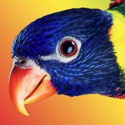 Photographer, Filmmaker, Colorist, Prepress, Web