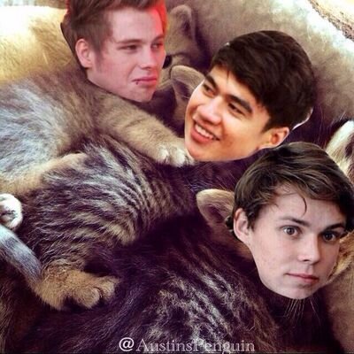 Good cats are bad cats that havent been caught. Be a good cat & help get #5sosfamcat to trend. The two cats that run this @AustinsPenguin & @PierceTheMikeyx