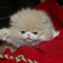 Lynn Hightower - @mystickatz1 - Twitter