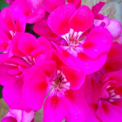 allsmiles1967's profile picture. 