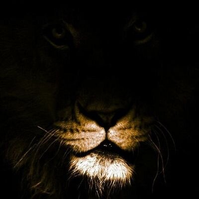 joonbaki's profile picture. Don't follow me...that's CREEPY.