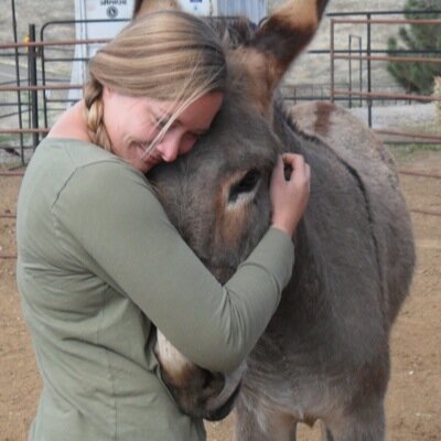I love asses. Riding, grooming, cropping, be them big or small--anything to do with asses I'm in. I also adore half-asses. Otherwise known as mules ;)