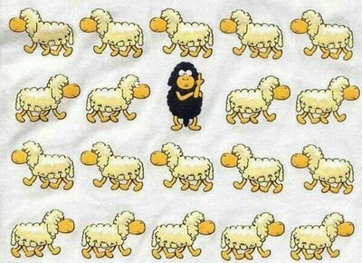 Romy_Master's profile picture. Podemos juzgar el corazón de una persona por la forma en que trata a los animales.