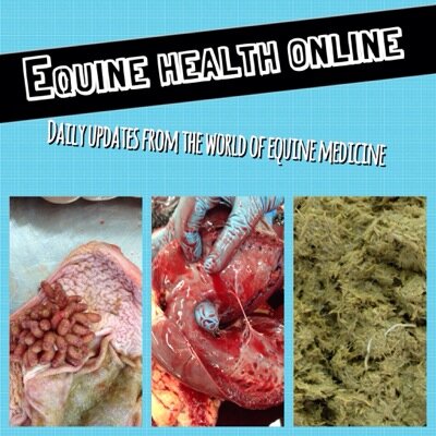 Equine vet and researcher summarises cutting edge research in equine medicine.