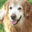 chris latella - @Latella34 - Twitter