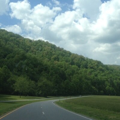 cita_travelblog's profile picture. 