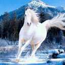 مزاح النمري (@06ea991f5baf461) Twitter