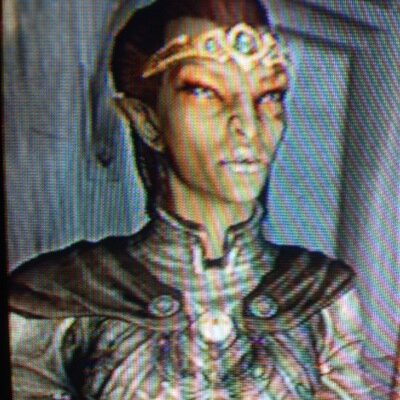 I spend my time traveling through Skyrim, going where the wind takes me. I am thane of every hold, and I am a master archer. RP account