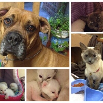 rmn2381's profile picture. 23/03/1981