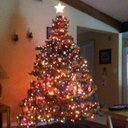 barbara herr - @herrb91 - Twitter