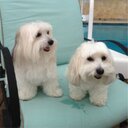 Jane Politte - @JanePolitte - Twitter