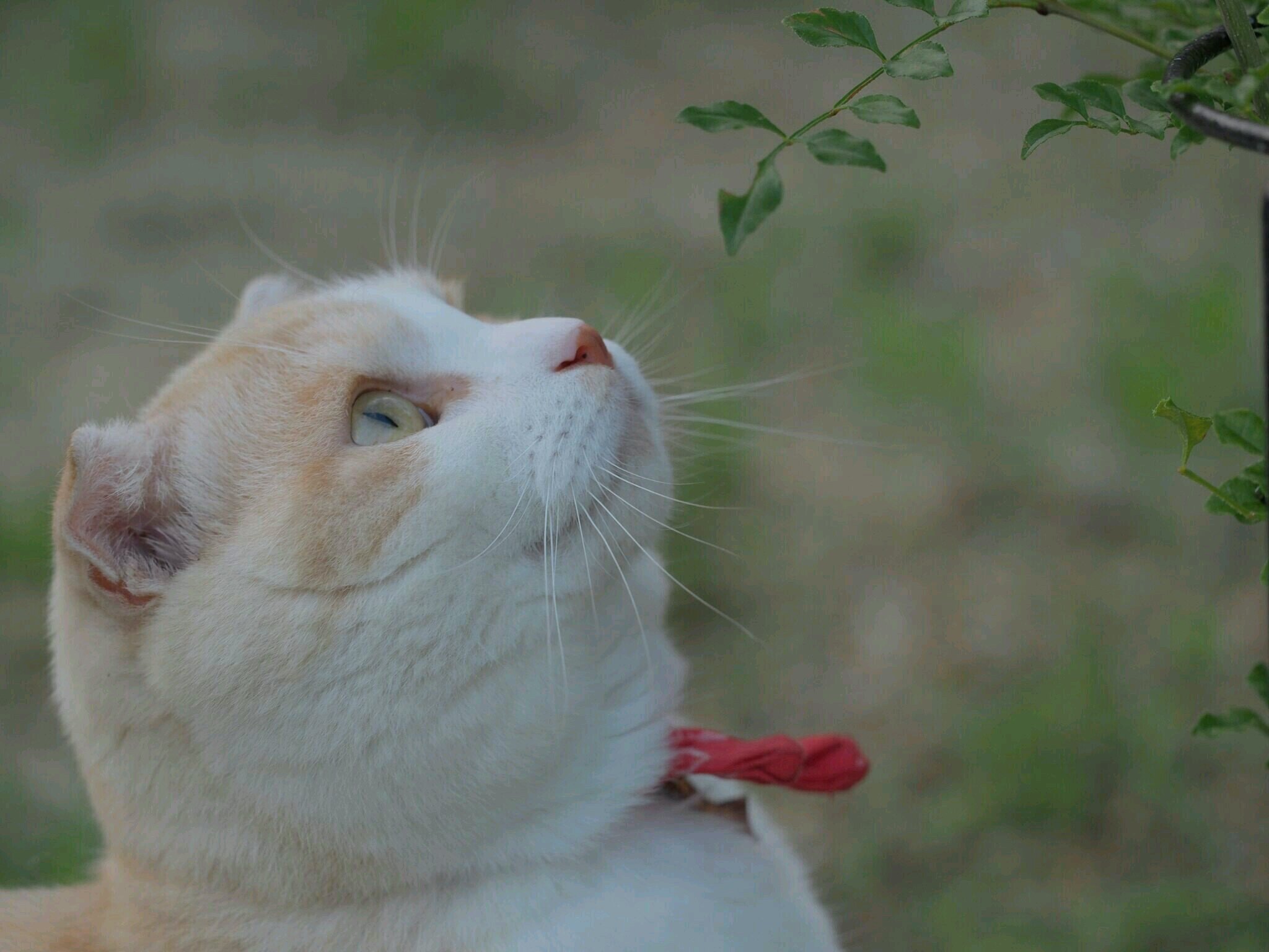 2yukichi1 Profile Picture